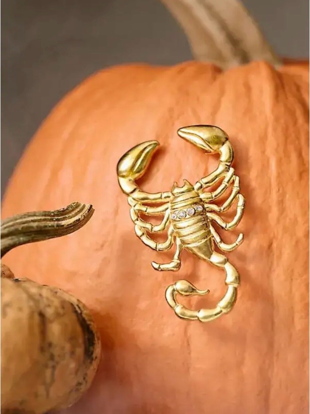 Anthropologie Halloween Gold Scorpion Scorpio Pumpkin Pin Charms Decor NWT